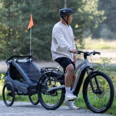 QERIDOO Fahrradanhänger Kidgoo 1 Qeridoo
